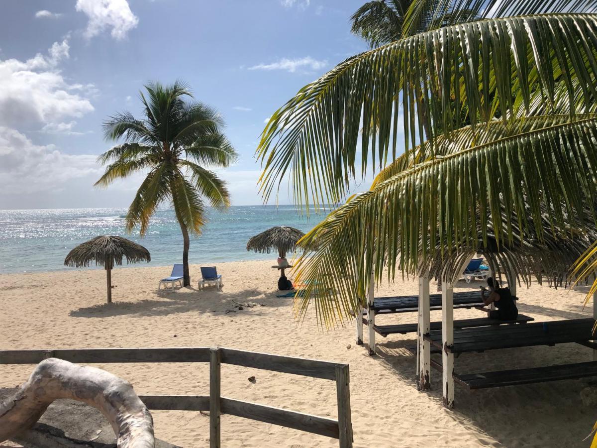 Studio Anse Des Rochers Saint Francois 外观 照片