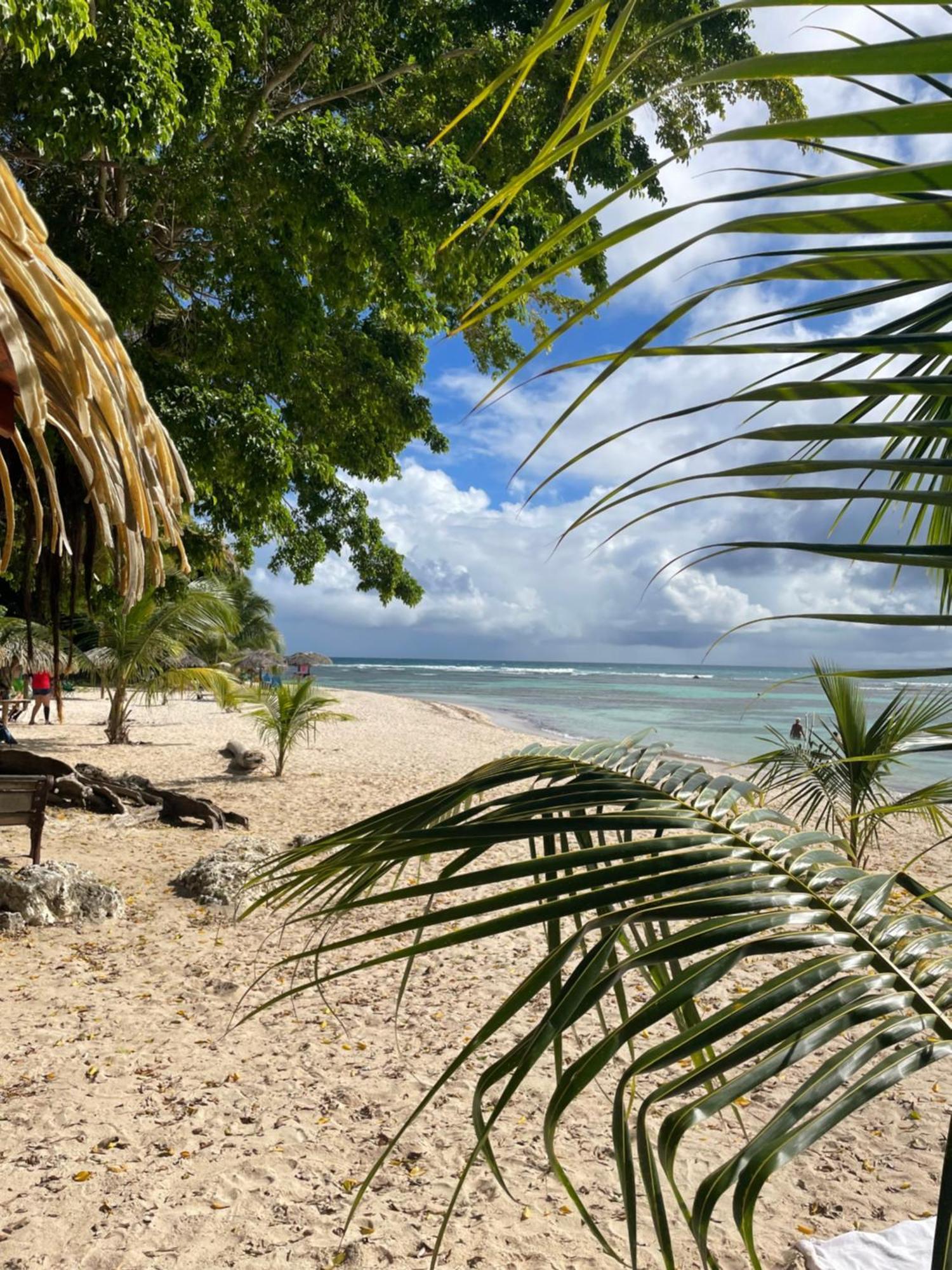 Studio Anse Des Rochers Saint Francois 外观 照片