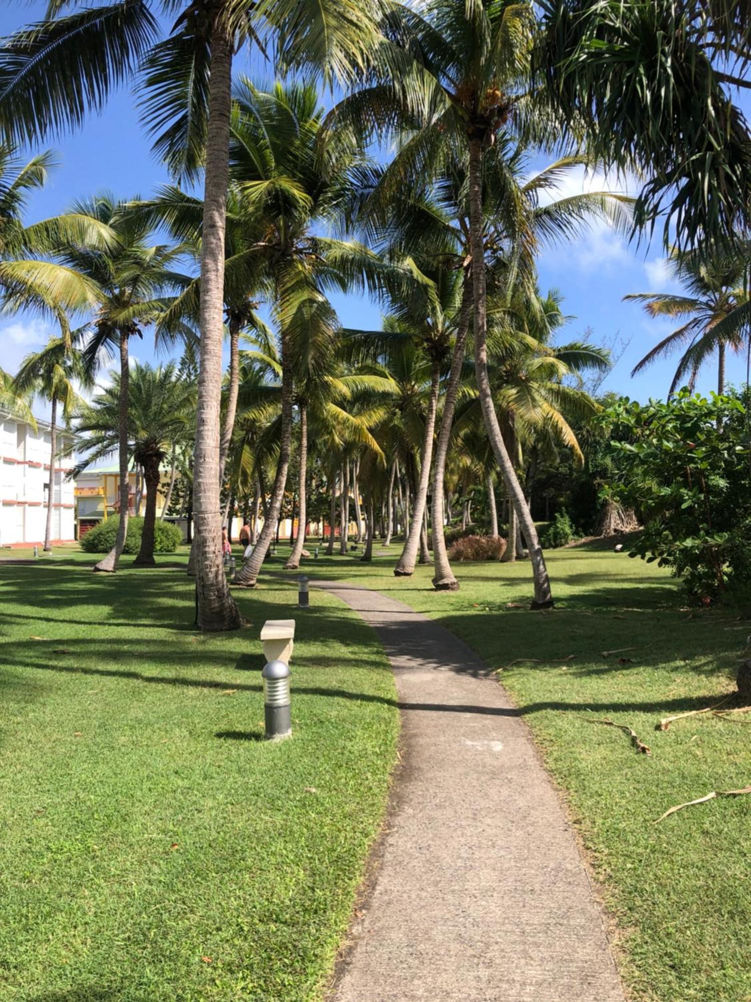 Studio Anse Des Rochers Saint Francois 外观 照片